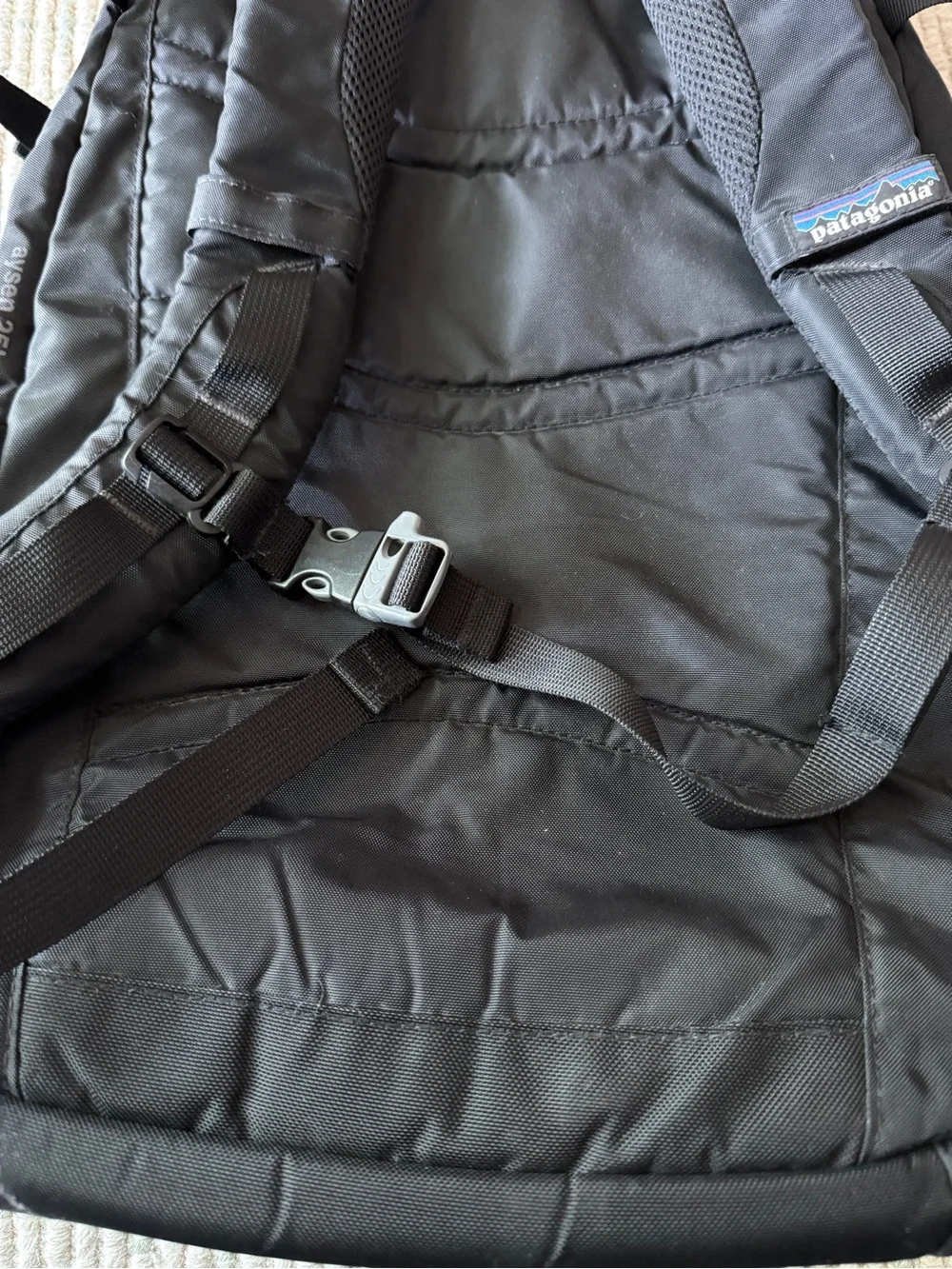 Patagonia 25L Backpack